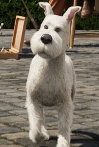 Snowy_in_The_Adventures_of_Tintin